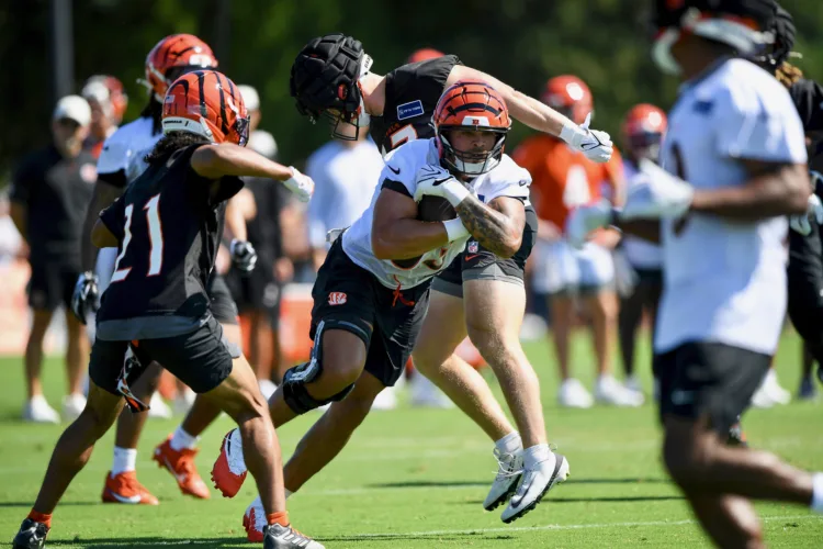 All Jr. back, shining at Bengals camp